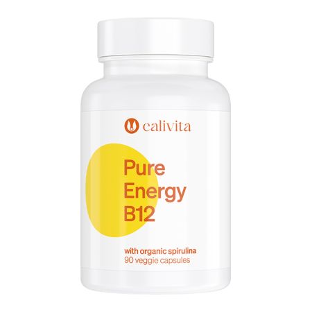 Pure Energy B12